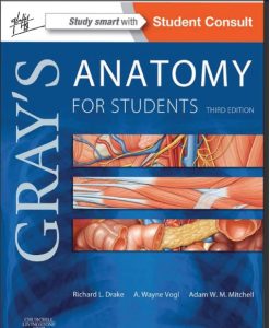 grays-anatomy